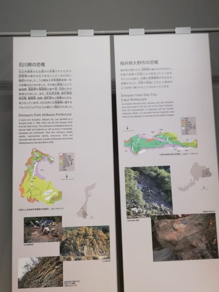 石川県と福井県大野市の恐竜化石