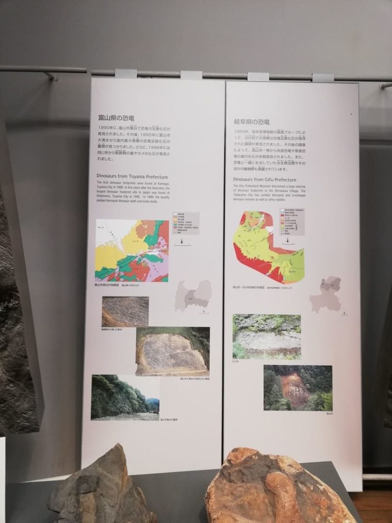 富山県と岐阜県の恐竜化石