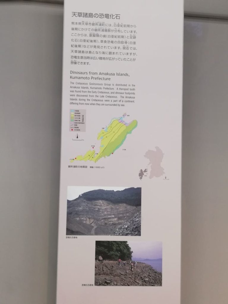 天草市の恐竜化石