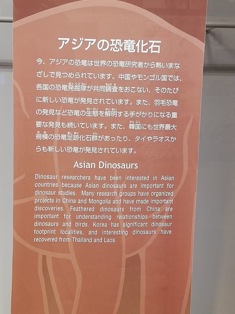 アジアの恐竜化石