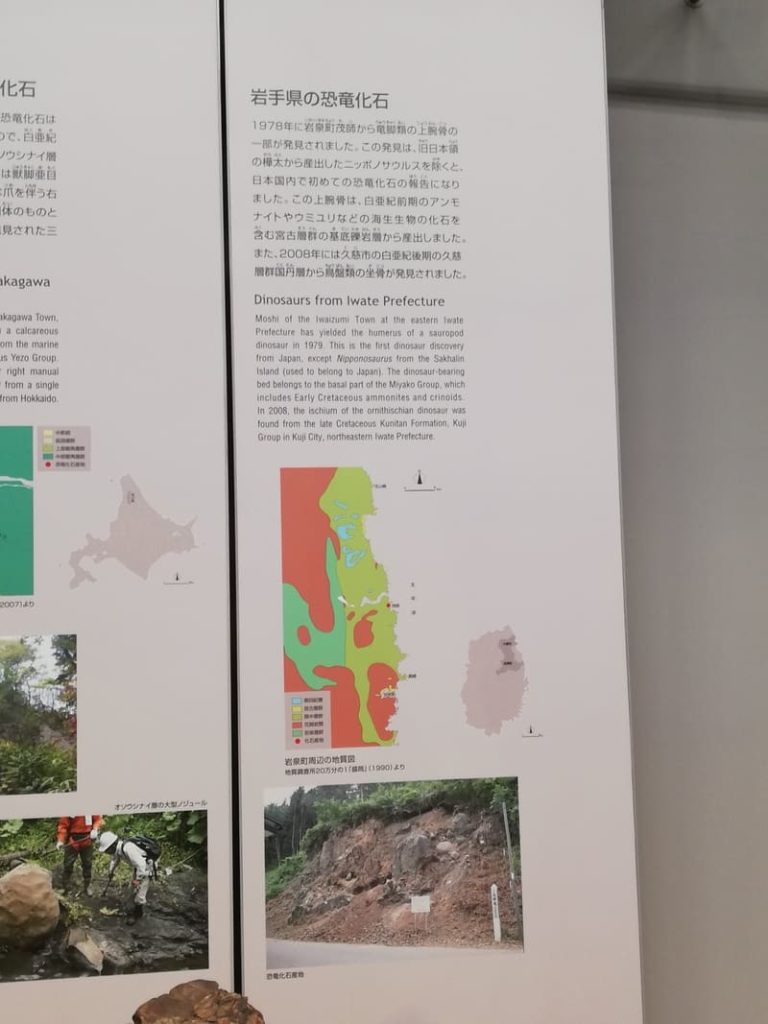 岩手県の恐竜化石