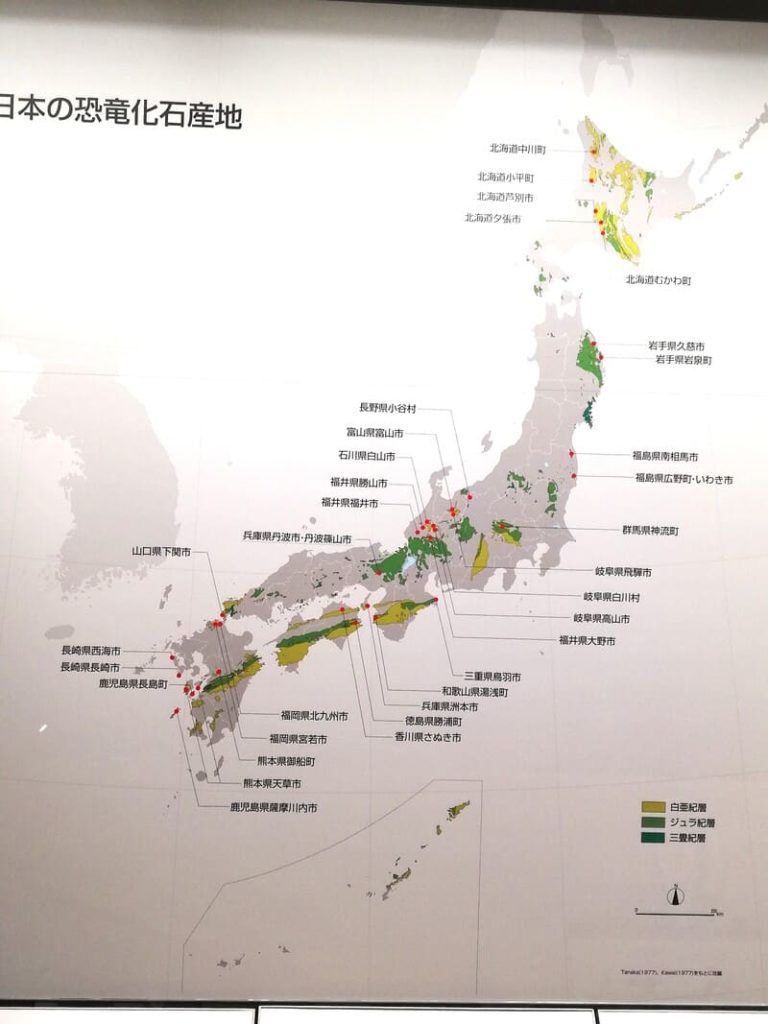 日本の恐竜化石の産地