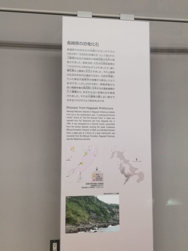 長崎県の恐竜化石