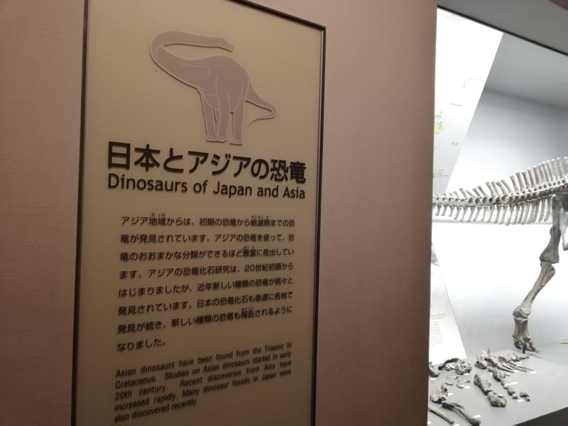 日本とアジアの恐竜