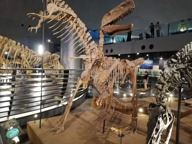 モノロフォサウルス