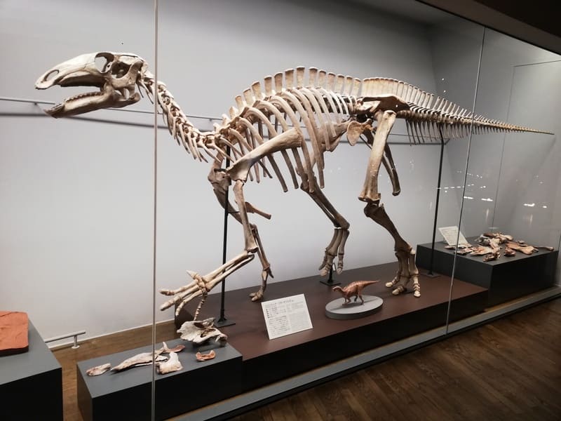 タイ　シリントーナ