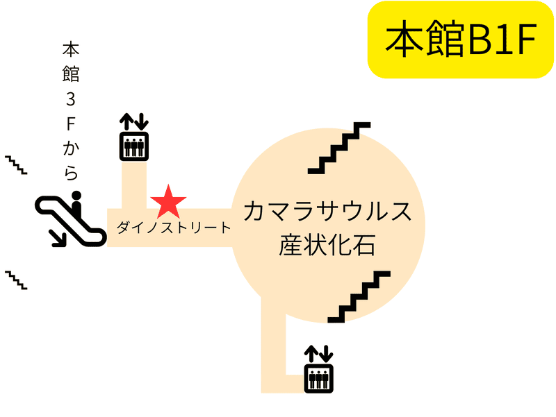 フロアマップ　ダイノストリート