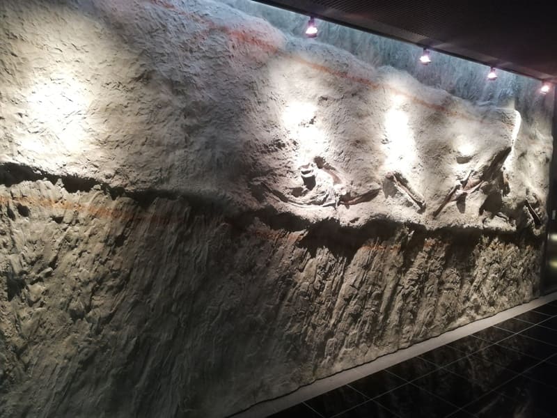 ダイノストリート左壁