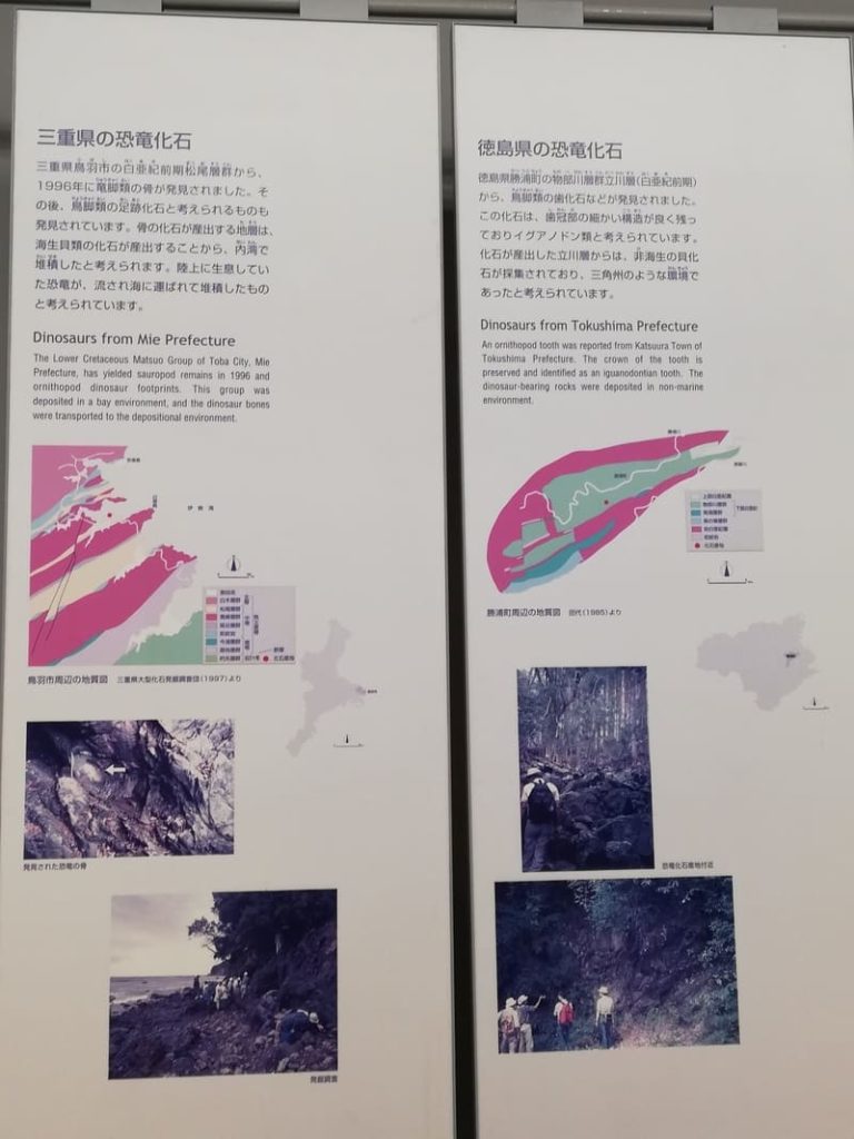 三重県と徳島県の恐竜化石