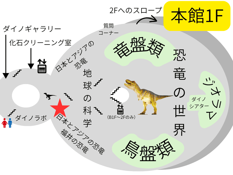 フロアマップ　恐竜の世界　福井の恐竜コーナー