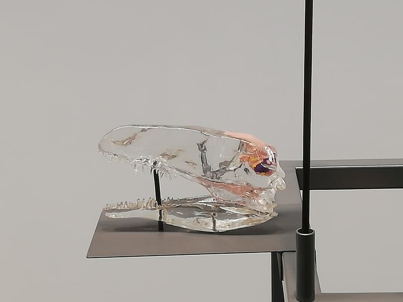 フクイベナートルダイキャスト