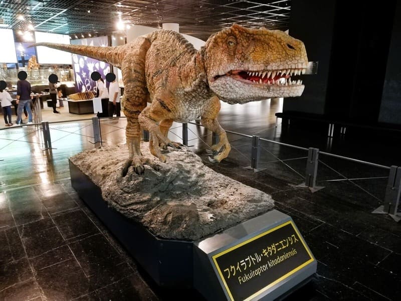 フクイラプトルロボット