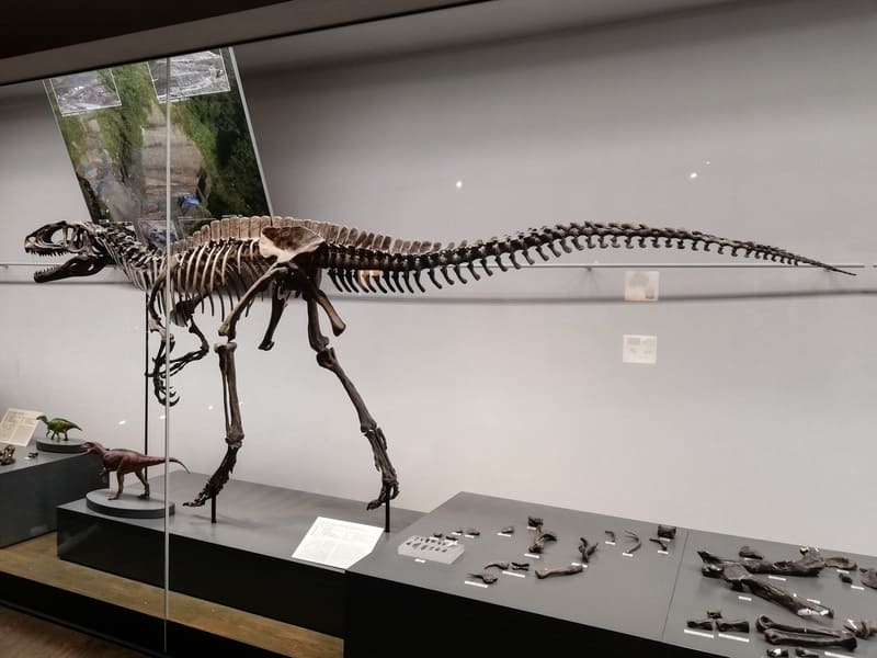 フクイラプトル