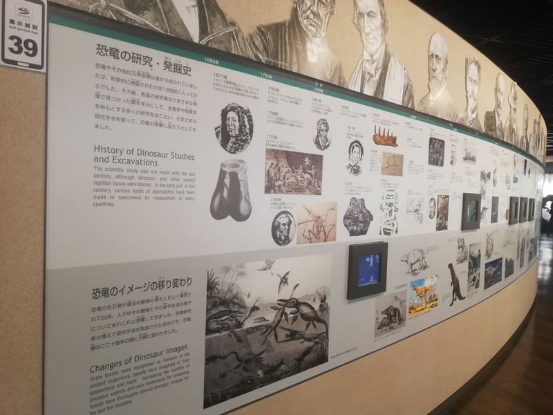 恐竜の研究・発掘史