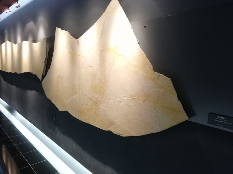 カブトガニの死ぬ直前の足跡