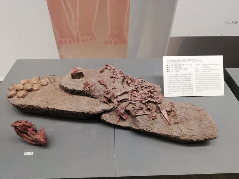 モザイケラトプス