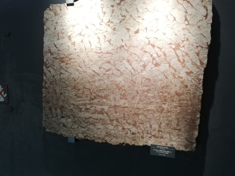 ストロマトライト