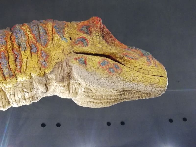 ティラノサウルスロボット横顔