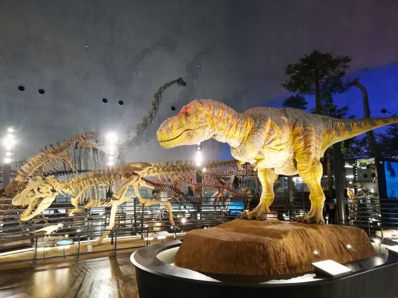 タルボサウルスを狙うティラノサウルス