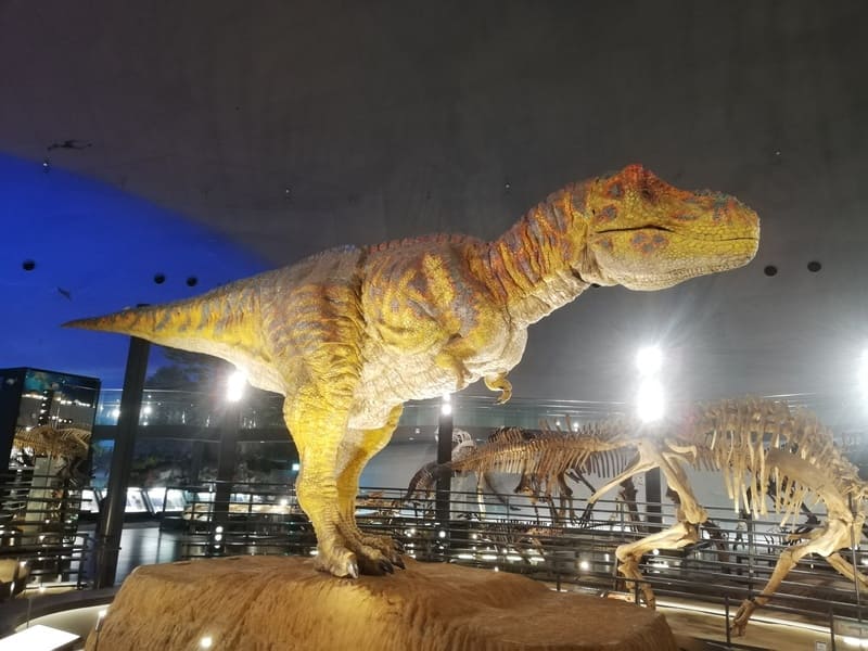 ティラノロボット右側