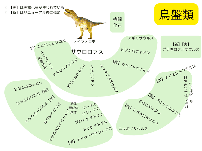 鳥盤類　配置図
