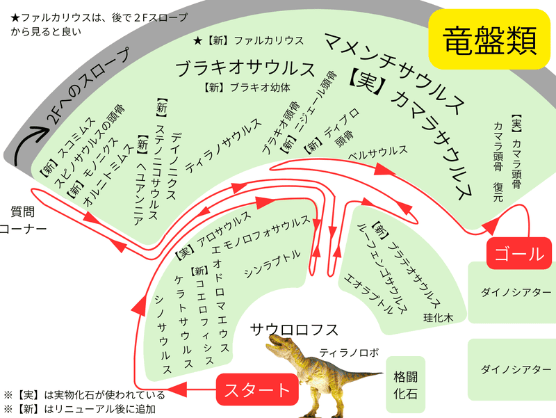 竜盤類の見学ルート