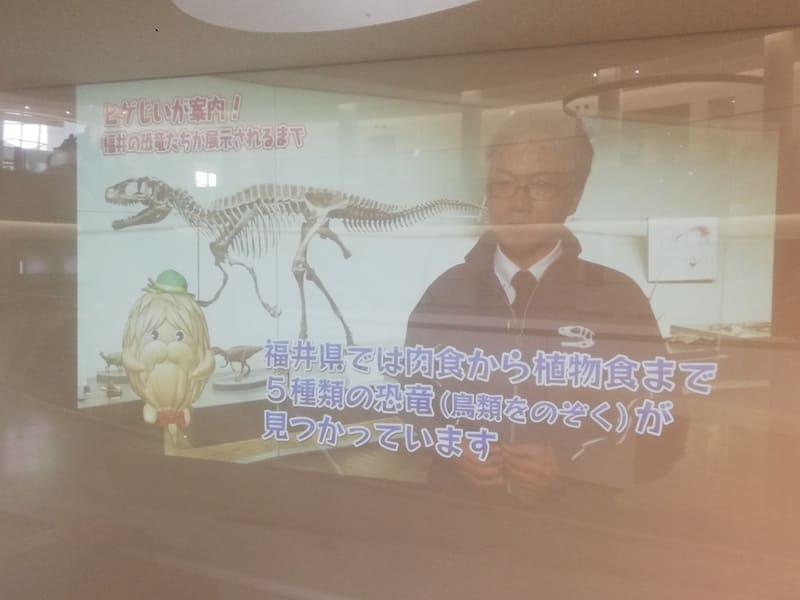 ダーウィンが来た！福井県立恐竜博物館特別バージョン