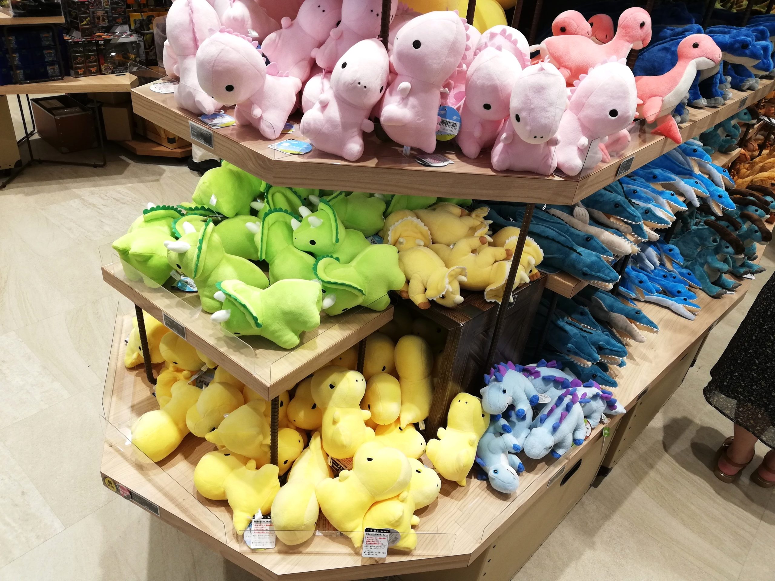 【ショップ限定】まったりくん（ティラノサウルス/トリケラトプス/スピノサウルス）