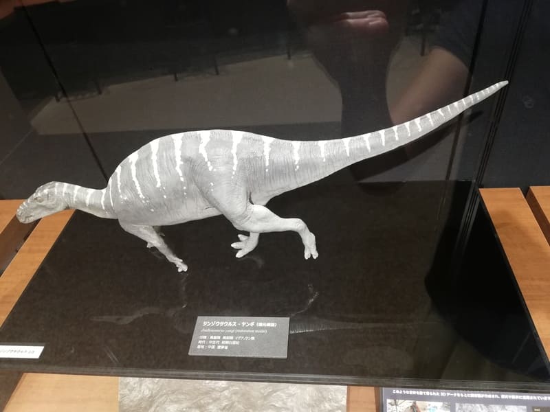 ジンゾウサウルス復元模型