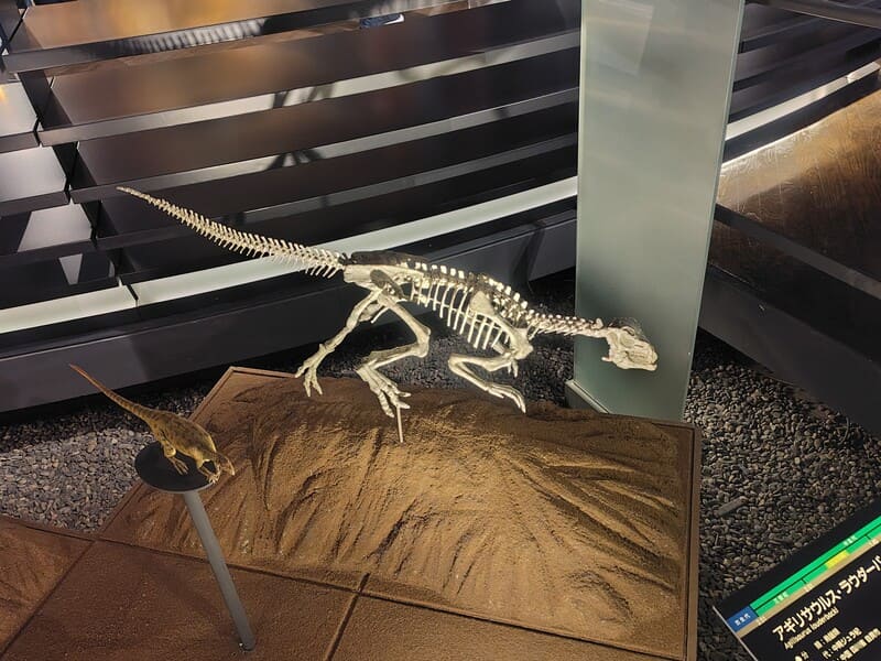 アギリサウルス