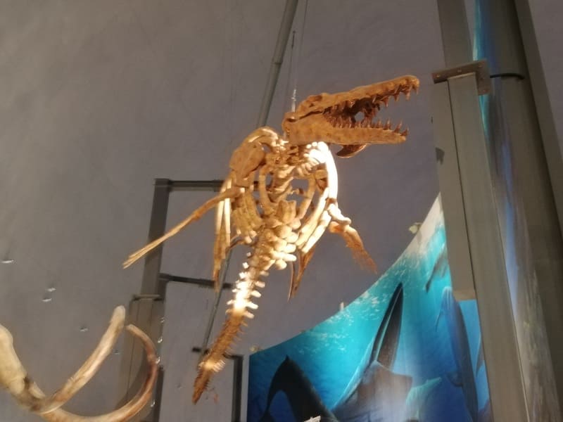 バシロサウルス