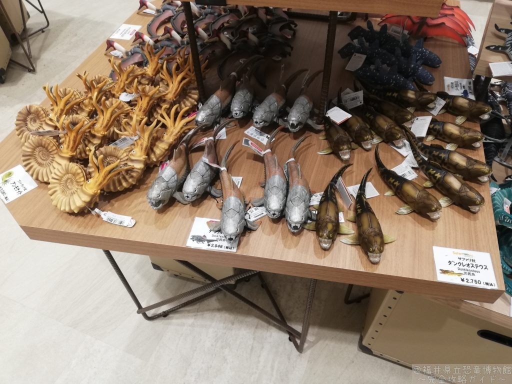 ブリーランド社　アンモナイト/シュライヒ・サファリ社　ダンクレオステウス