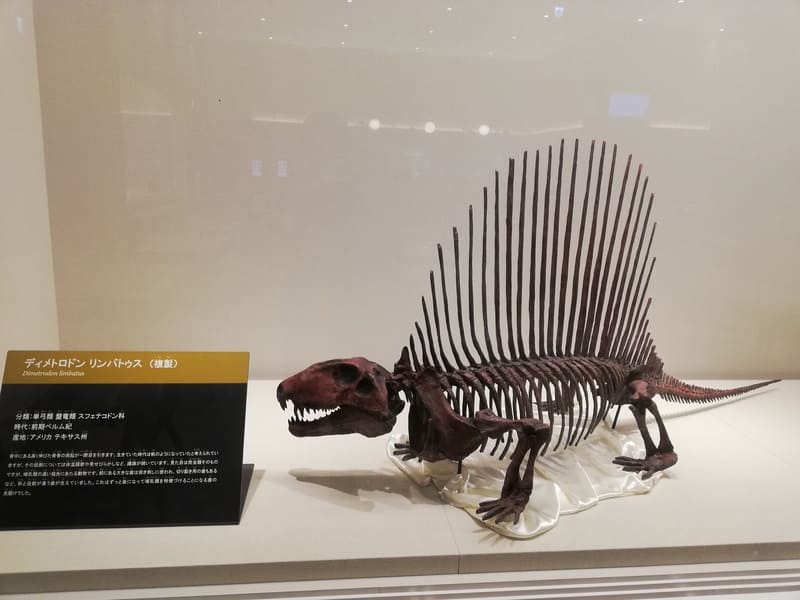 ディメトロドン