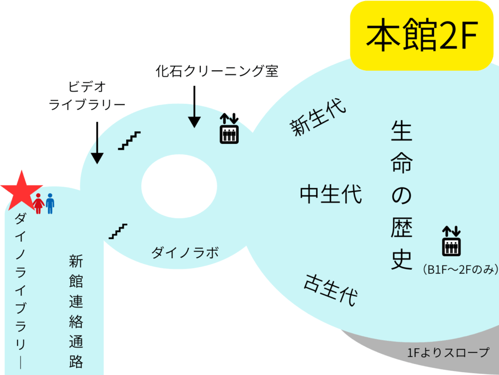 ダイノライブラリー