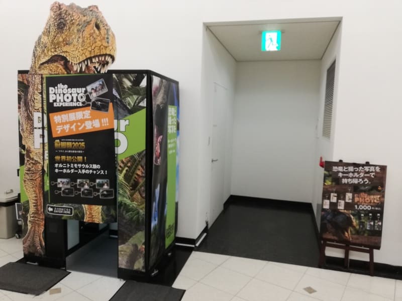 ダイナソーフォト