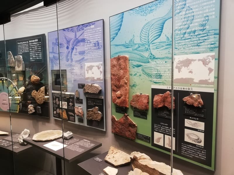 無脊椎動物の繁栄