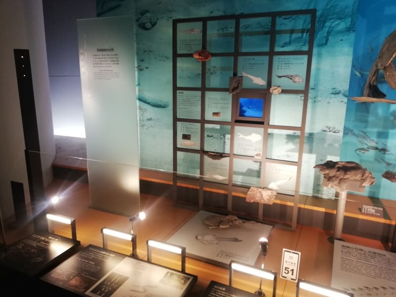 脊椎動物の出現