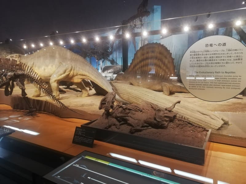 恐竜への道－主竜類への進化