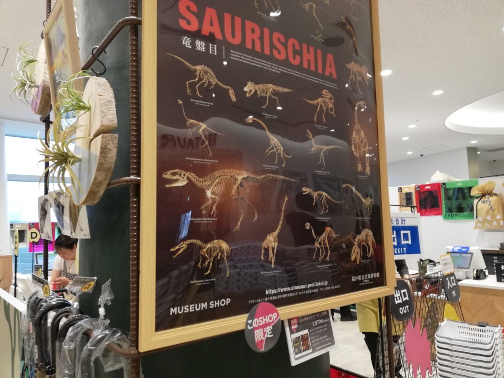 【ショップ限定】展示骨格ポスター