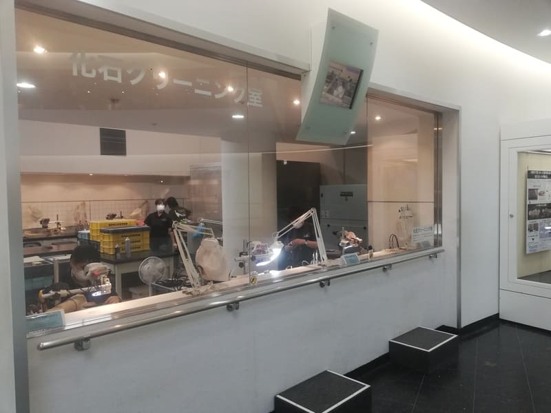 化石クリーニング室