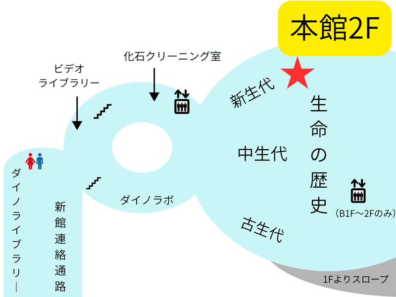 フロアマップ　生命の歴史　古生代