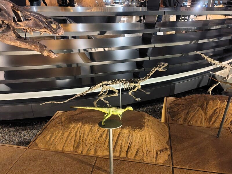 ヒプシロフォドン