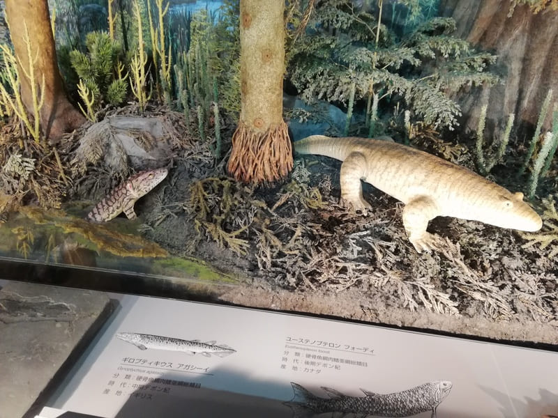 イクチオステガ