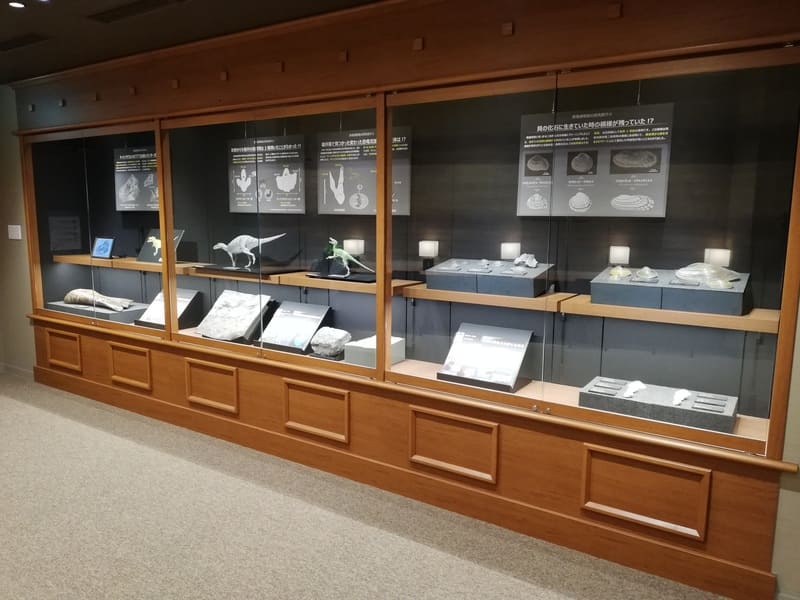 ダイノライブラリー　最新研究