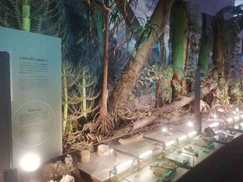 大森林が育んだ動物たち 