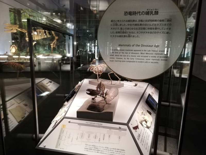 恐竜時代の哺乳類