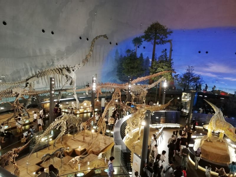 常設展　恐竜の世界　竜盤類エリア