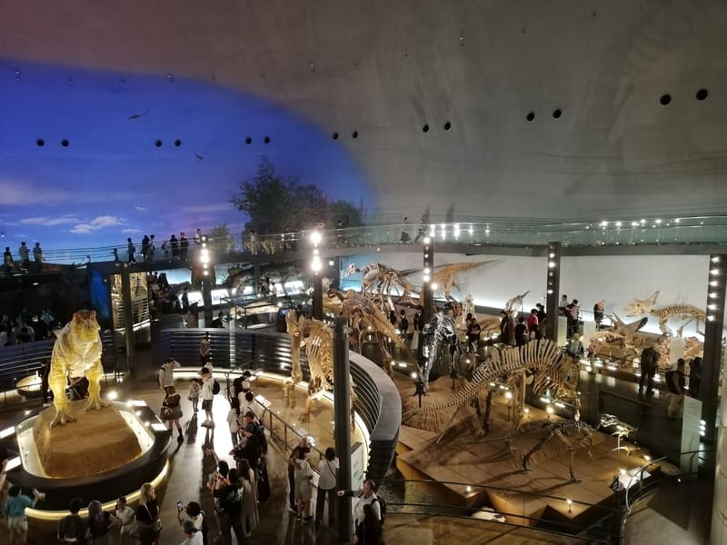 常設展　恐竜の世界　鳥盤類エリア