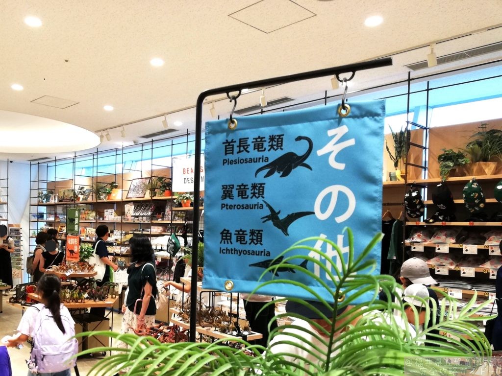 首長竜類/翼竜類/魚竜類コーナー