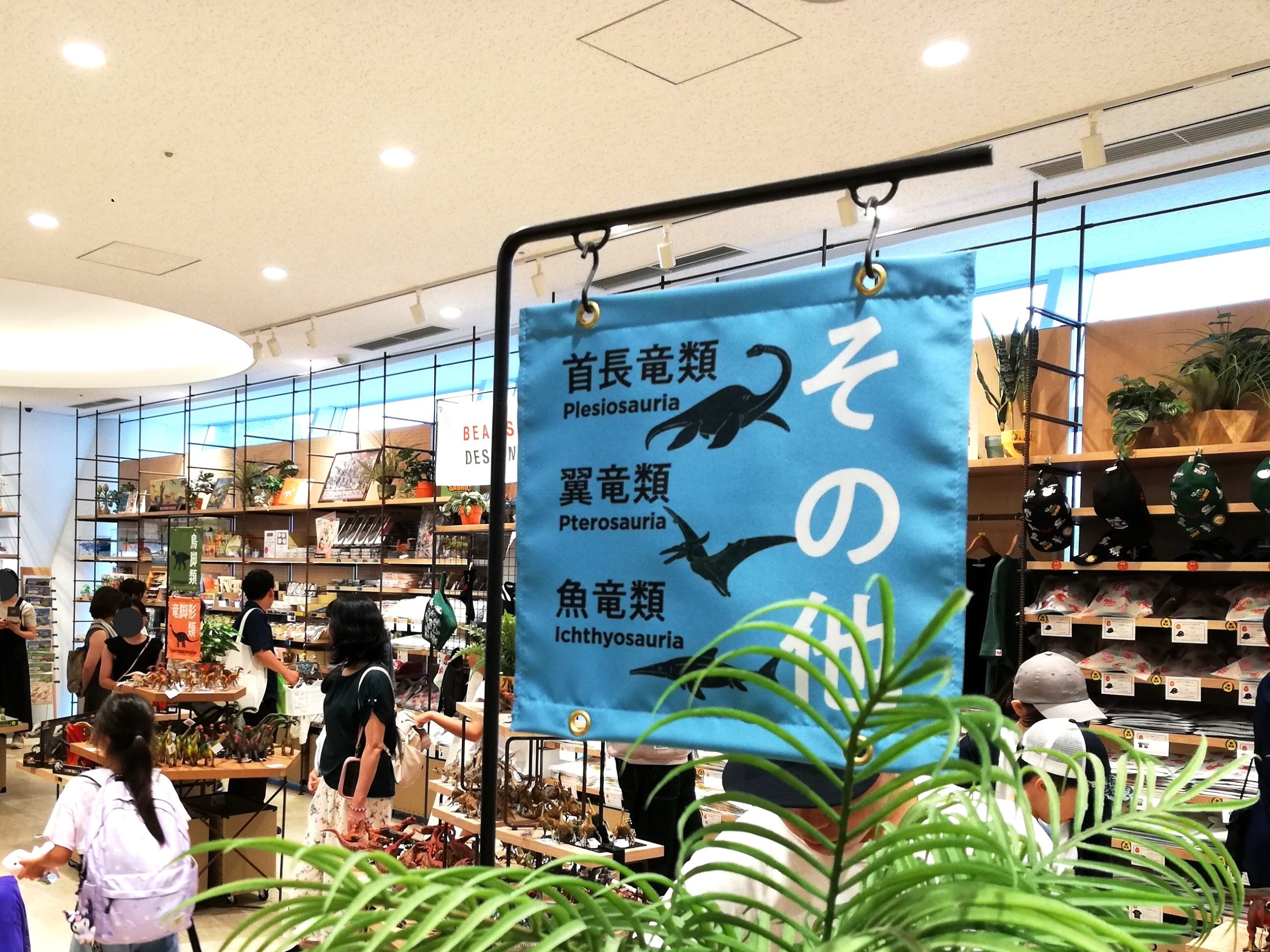 首長竜類/翼竜類/魚竜類コーナー